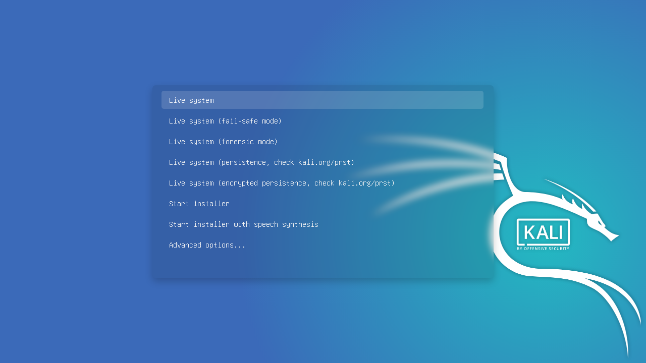kali 2019.4 boot grub menu theme