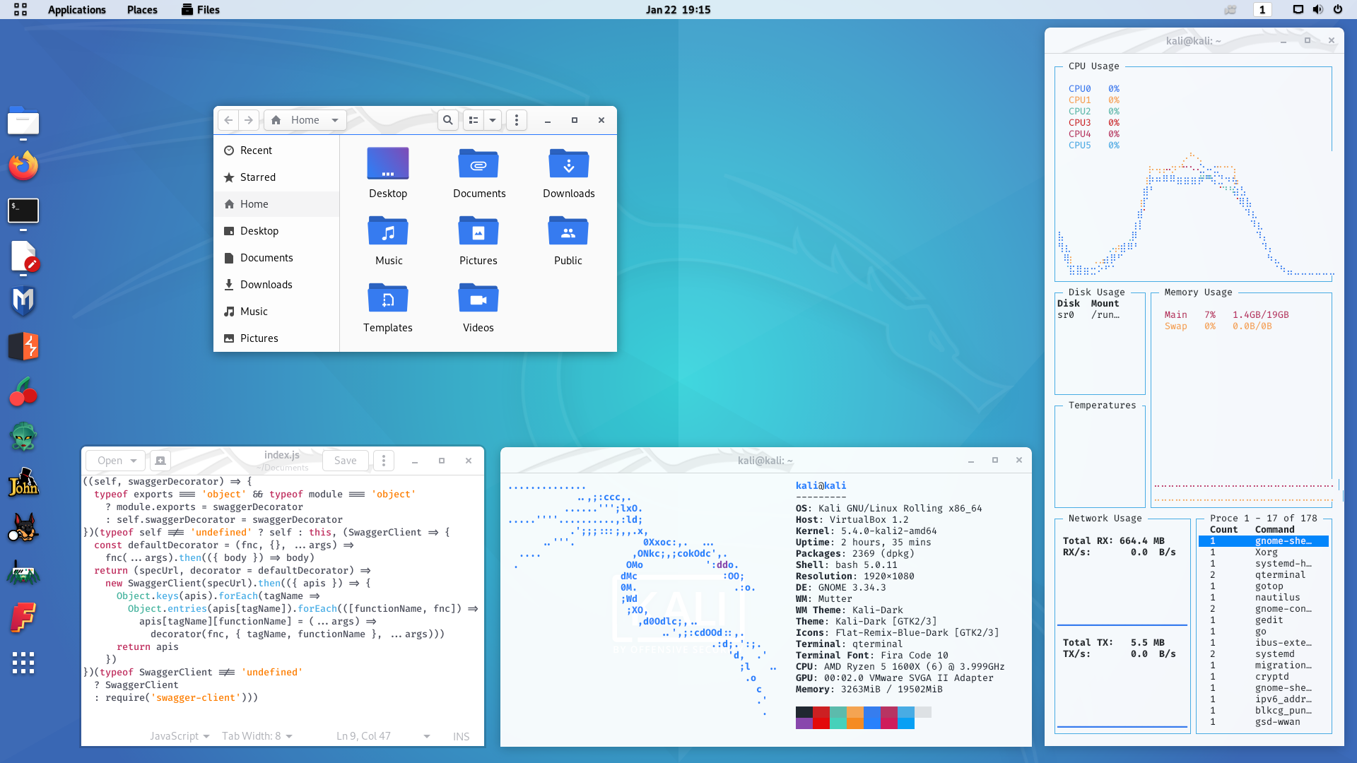 kali 2020.1 gnome-shell light theme