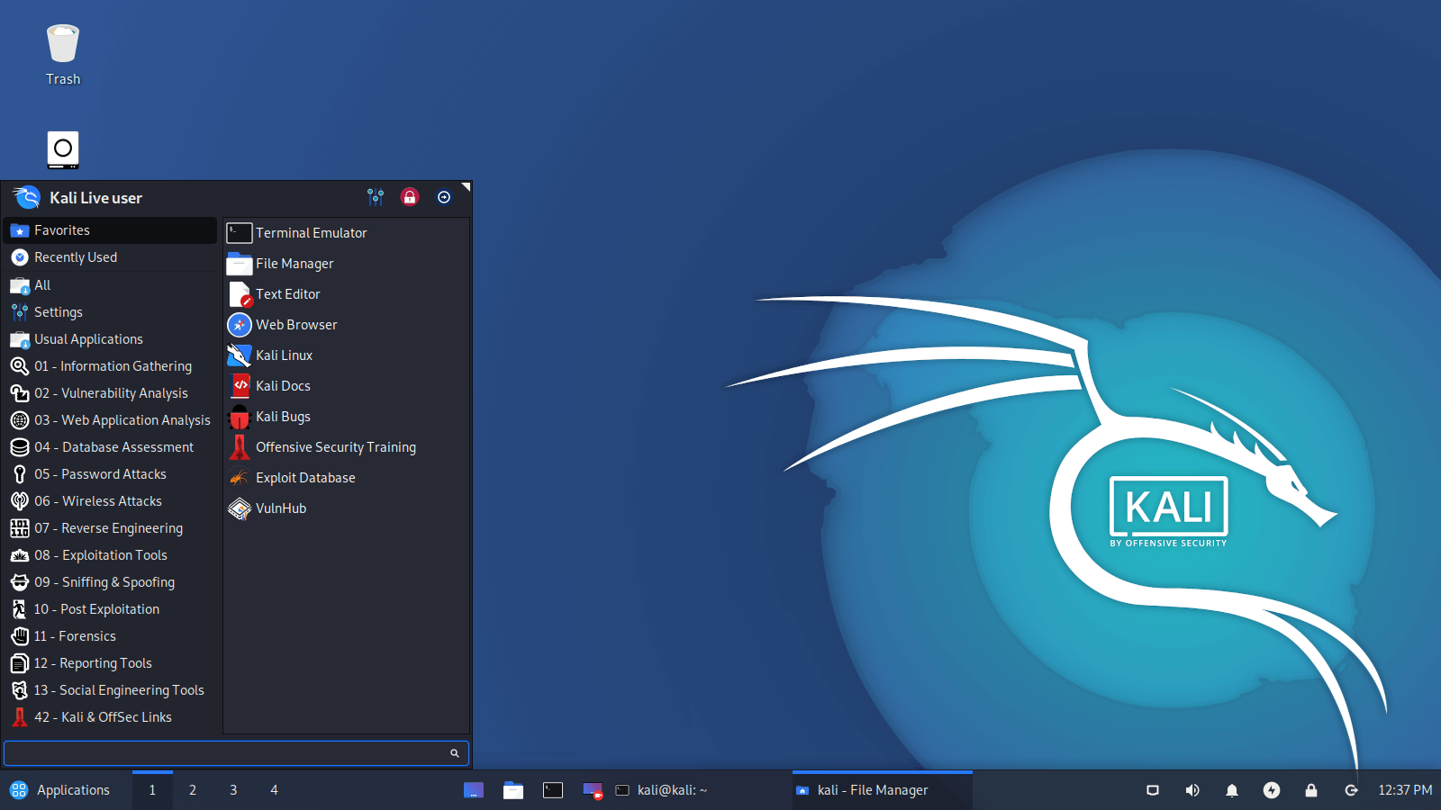 kali customization