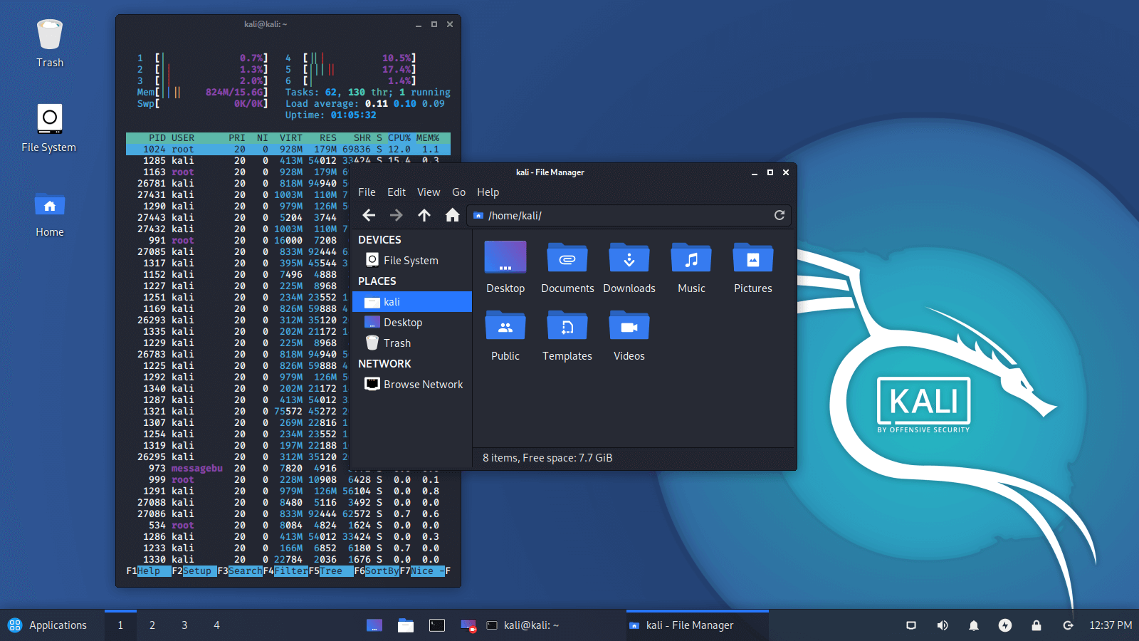 kali customization