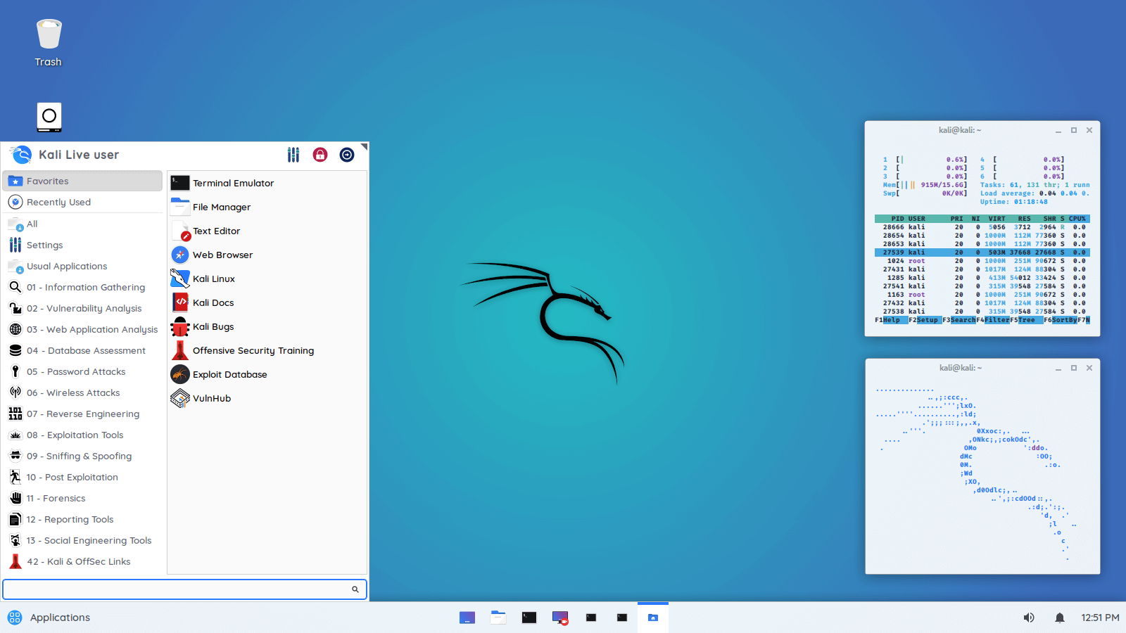 kali customization