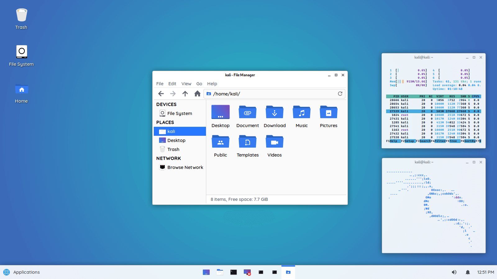 kali customization