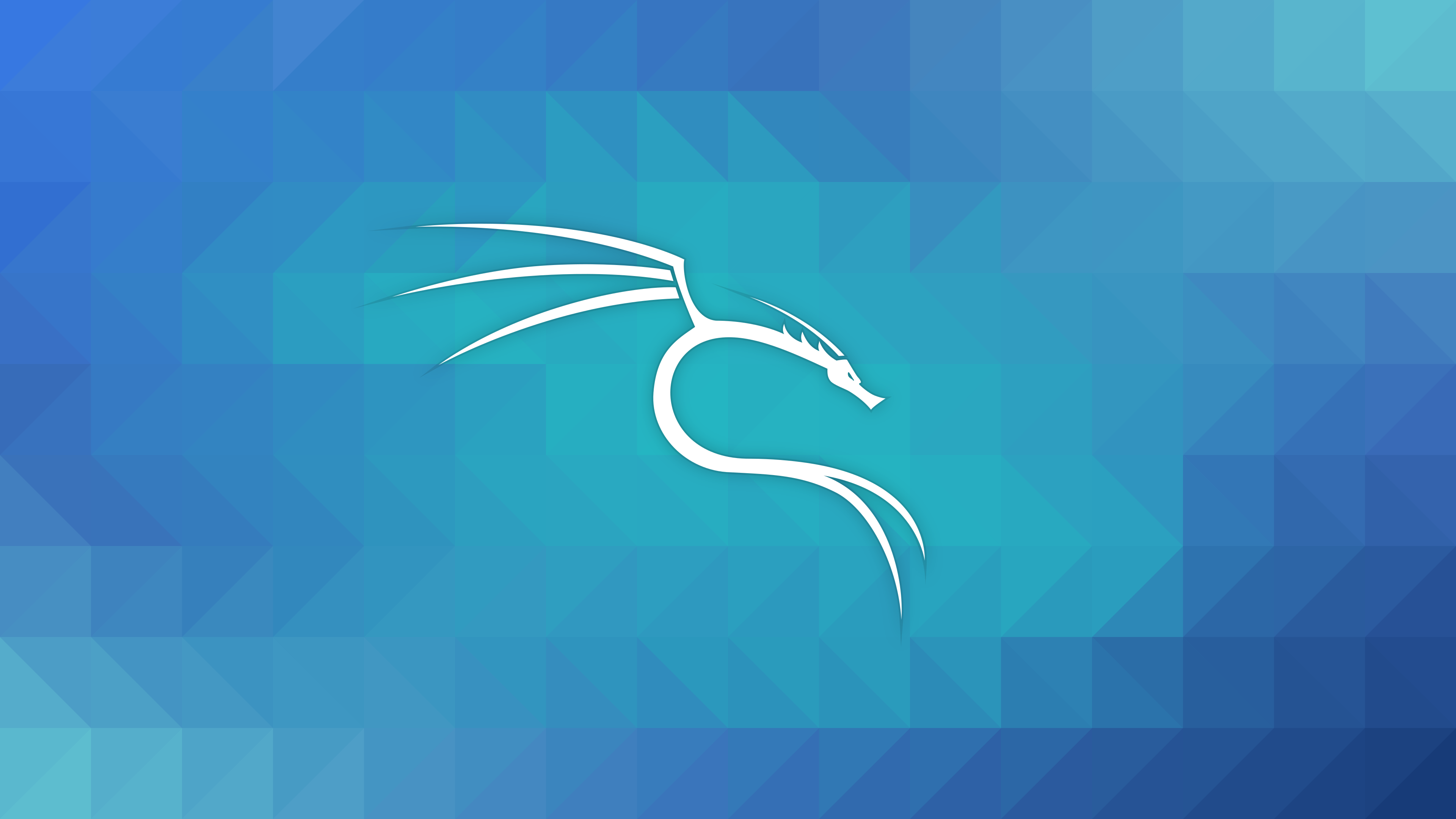 kali 2020.2 wallpapers kali-mesh