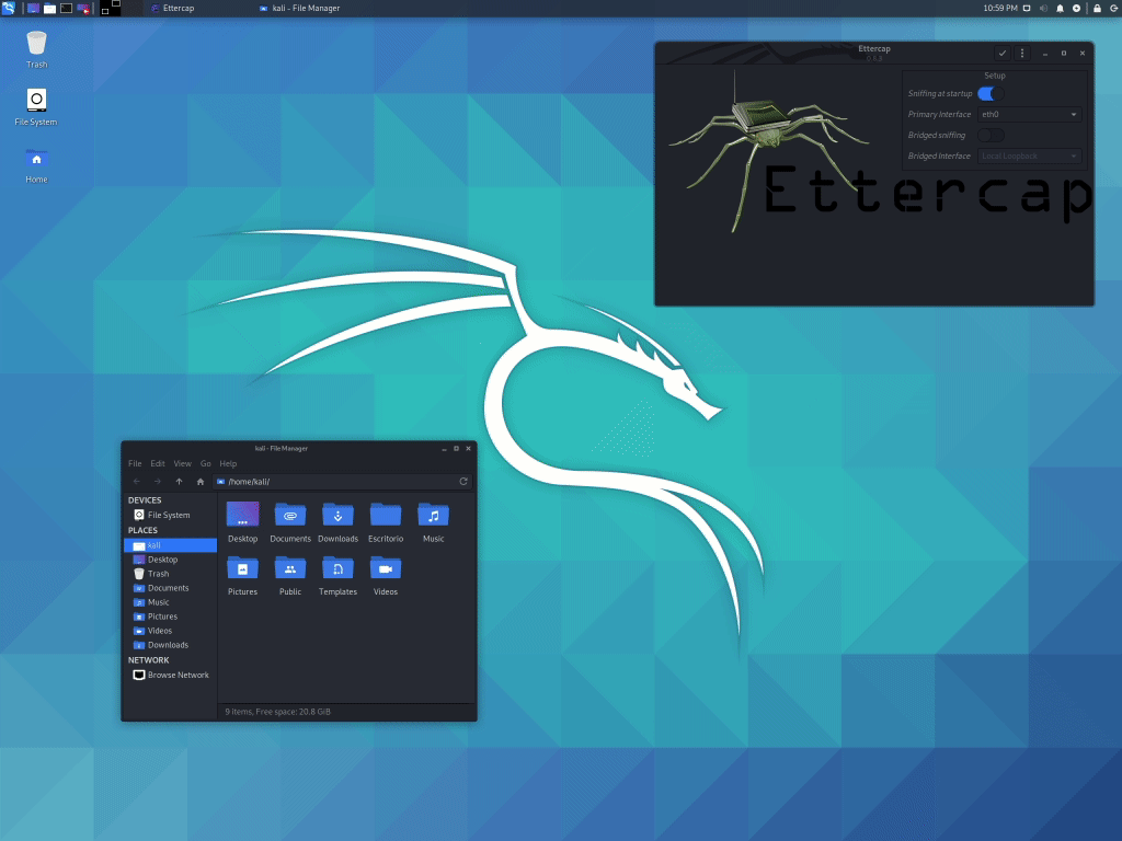 Kali 2020.3 HiDPI mode demo