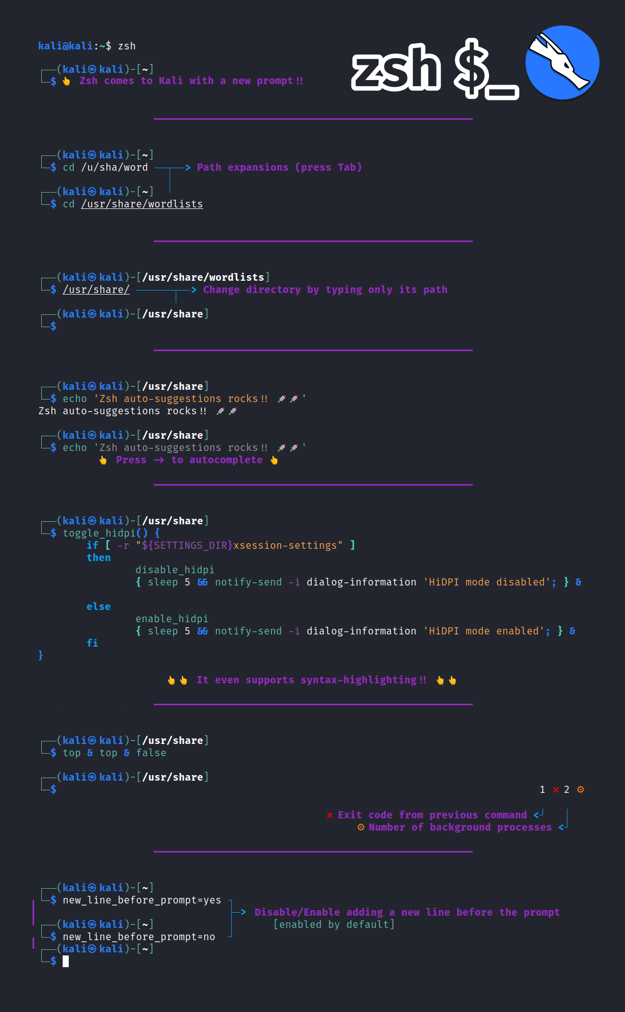 Demo for kali 2020.3 zsh shell
